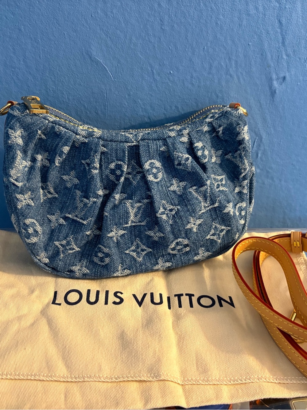 Louis Vuitton Denim Pochette